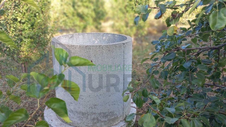 Teren intravilan de vânzare, Cristești-Brăești, Iași, 2.650 mp - Poză 8