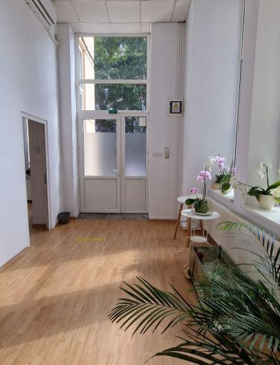 De inchiriat spatiu comercial central - Poză 18