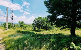 Teren extravilan 1.667 mp cu vedere panoramică – Dealul Ținea, Băicoi - Poză 3