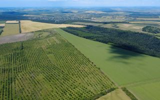 Teren Agricol, 11 HA, Bulăiești, Orhei - Poză 6
