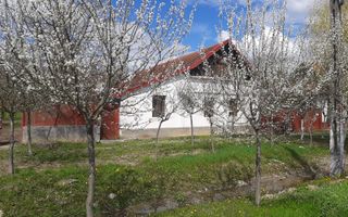 Casă cu teren generos la Bodo - Poză 1