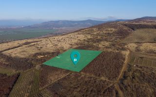 Vita-de-vie Premium  teren de 6800 mp în Covăsinț - Poză 1