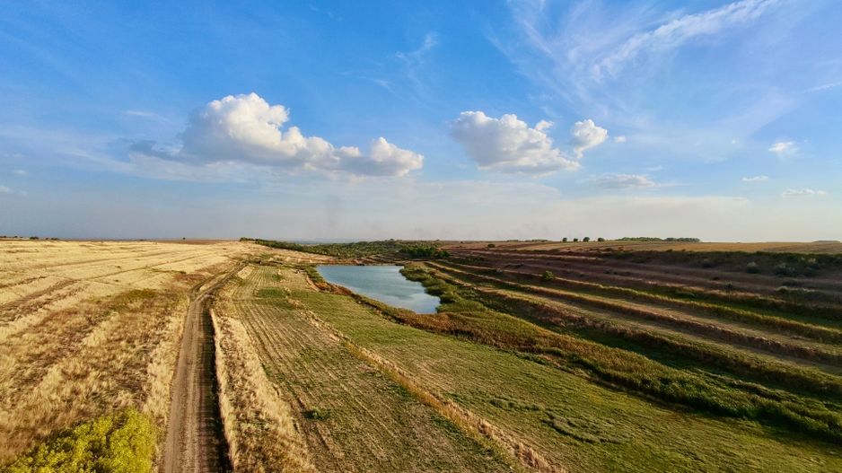 Teren Daia 75000 mp cu balta 30000 mp izvoare - Poză 17
