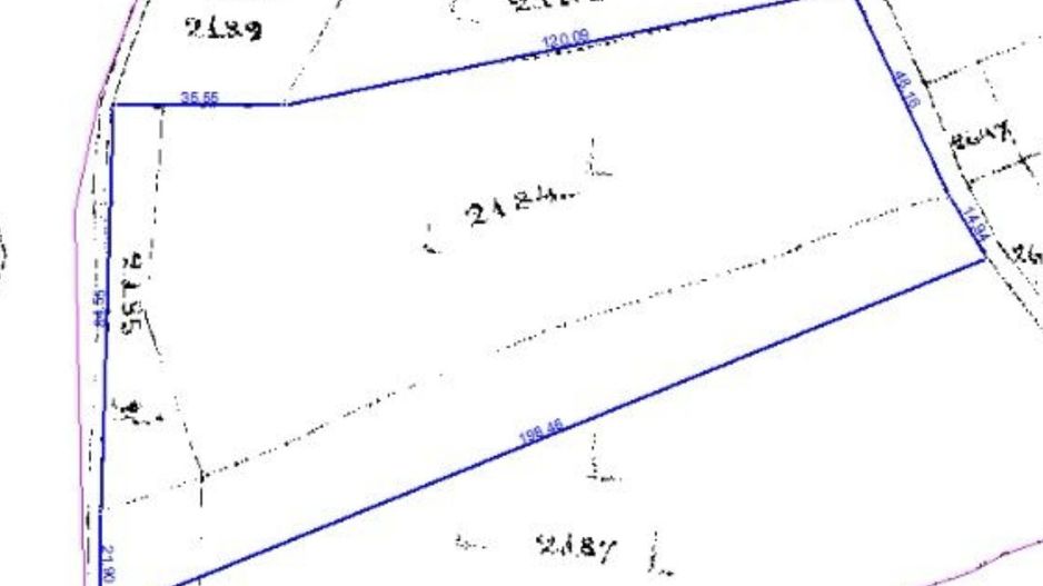 Teren 10233 mp extravilan Episcopia Oradea - Poză 5