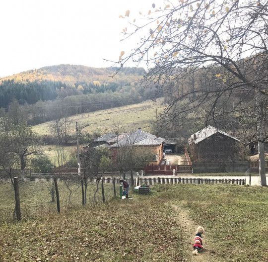 Vanzare teren intravilan cu utilitati trase, Babana - Poză 7