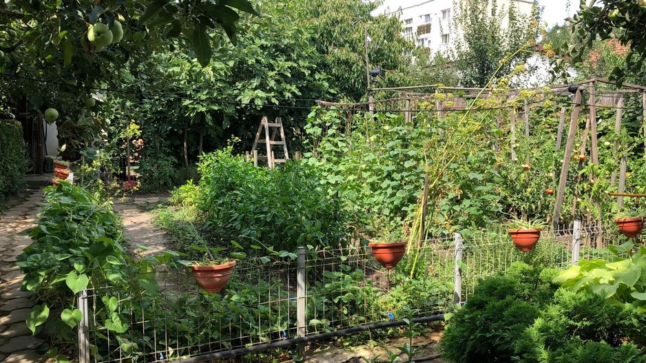 BRASADAS vinde casa cu 7 camere si teren 1100mp in zona Burdea. - Poză 21