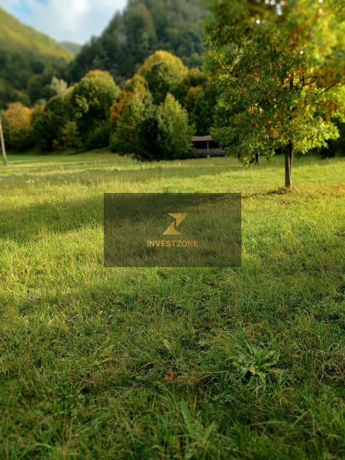 Teren de vis de vanzare in Remeti-Bihor-27p0 mp - Poză 12