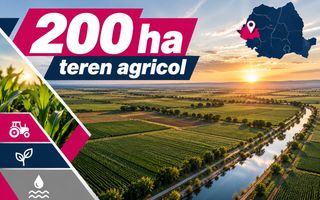 200 ha teren agricol de vanzare in Arad - Poză 2