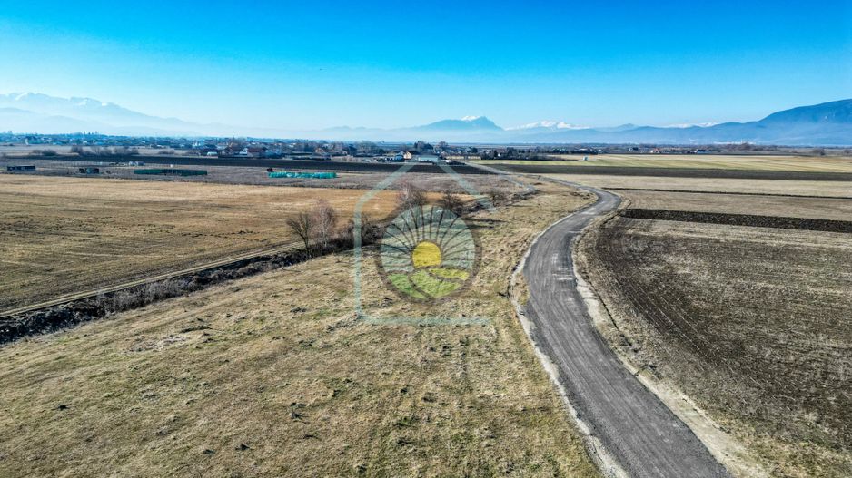 TEREN STUPINI-COMISION 0 - Poză 1