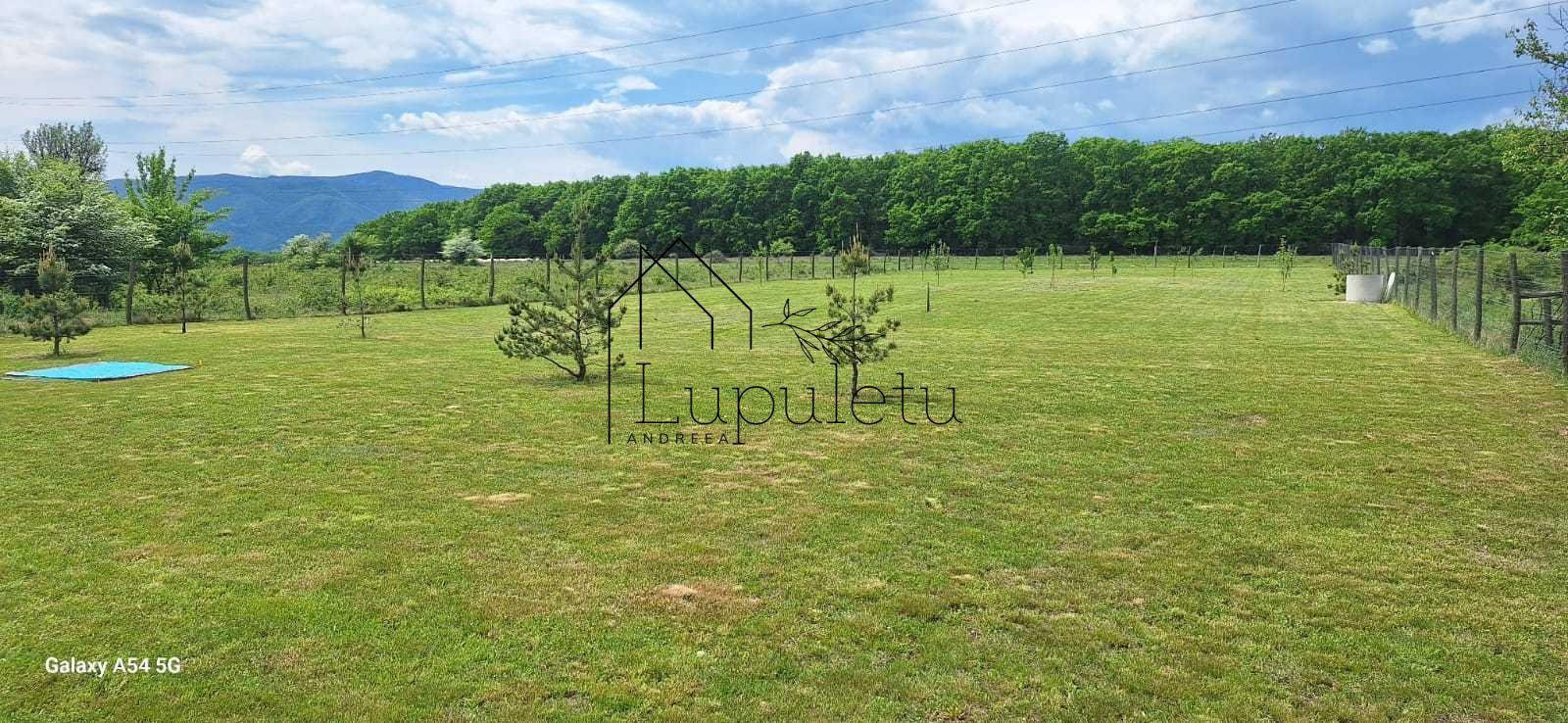 Teren Extravilan | 2.000 MPU | Intabulat | Zonă liniștită - Poză 2