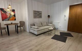 3 Camere Openspace, Modern, Parcare, Prima inchiriere, Lidl, UMF,USAMV - Poză 3