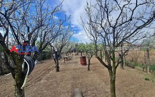 AZURA Imobiliare - Casa Prundu Bananai - Poză 32