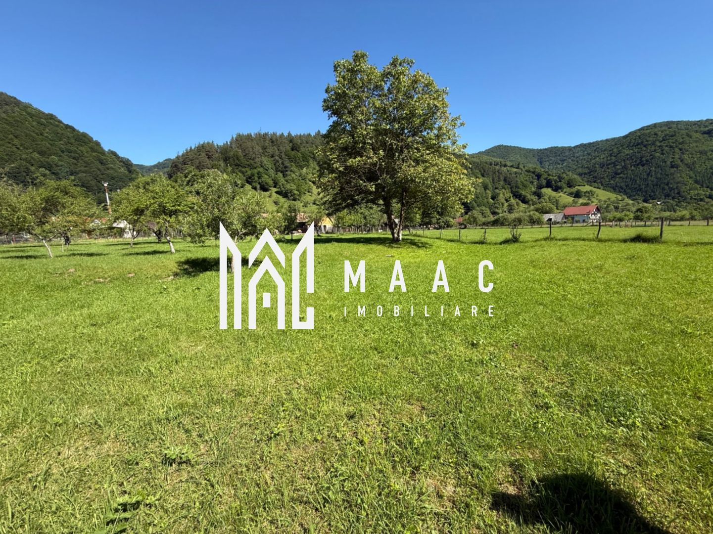 Teren Intravilan | 3050 Mp | Ieșire la Râu | Râul Sadului - Poză 2