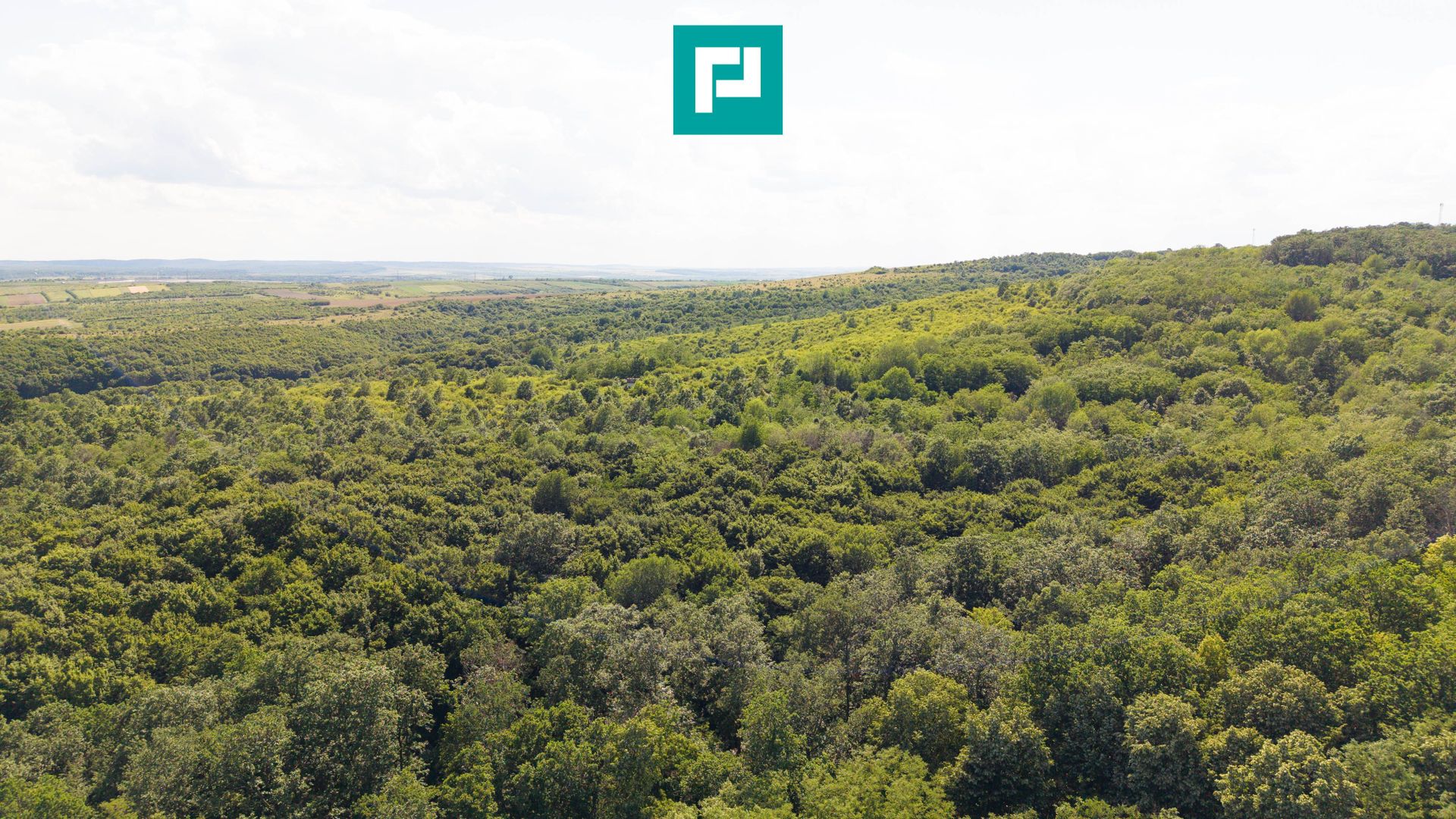 TEREN AGRICOL EXTRAVILAN  22.900 MP LIPOVA - Poză 4