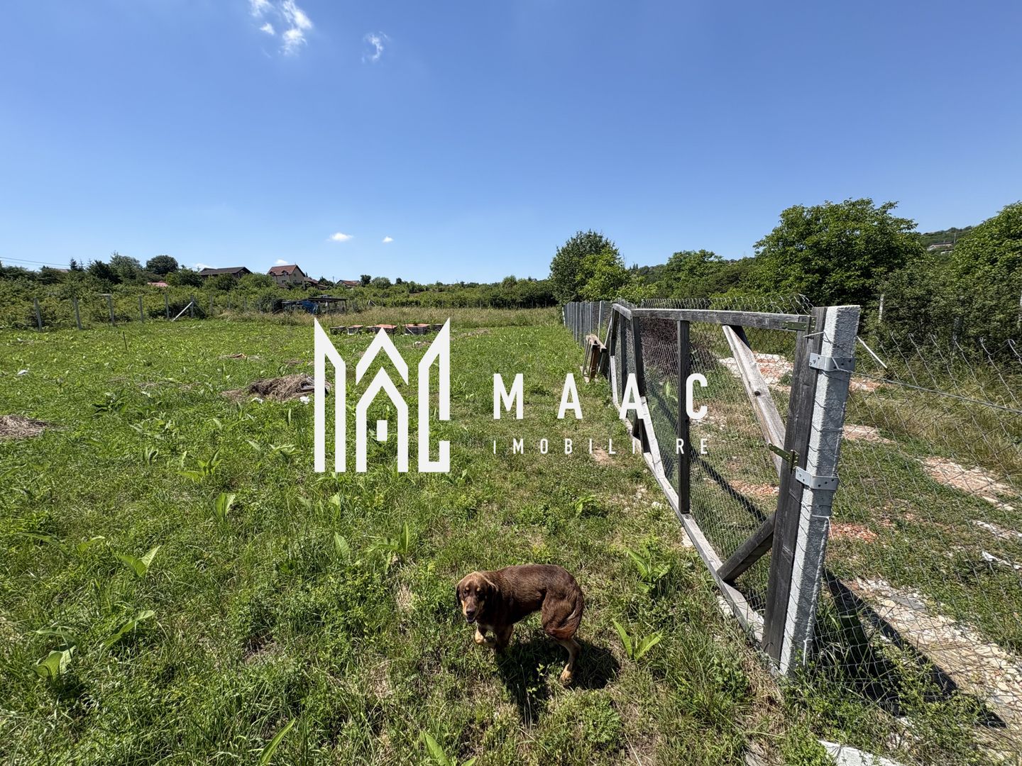 Teren intravilan 500 mp | Daia Nouă, Sibiu | acces facil, utilități în apropiere - Poză 6