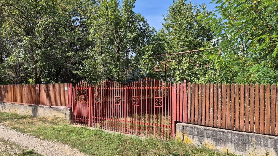 Teren intravilan 4.717 mp | Râncăciov – |11 €/mp | Utilități | Comision 0% - Poză 2