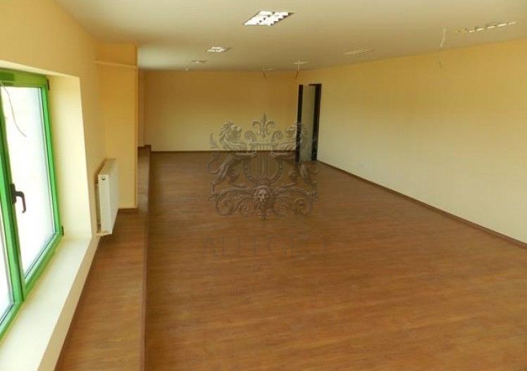 Hala | Soseaua Odai | Mogosoaia | (350 mp depozit / 236 mp birou) - Poză 3
