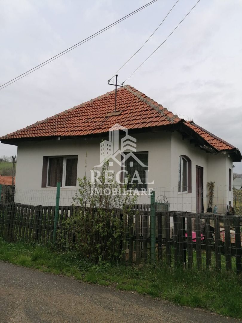 Casă de vânzare în Cerisor – liniște, natură și teren generos! - Poză 1