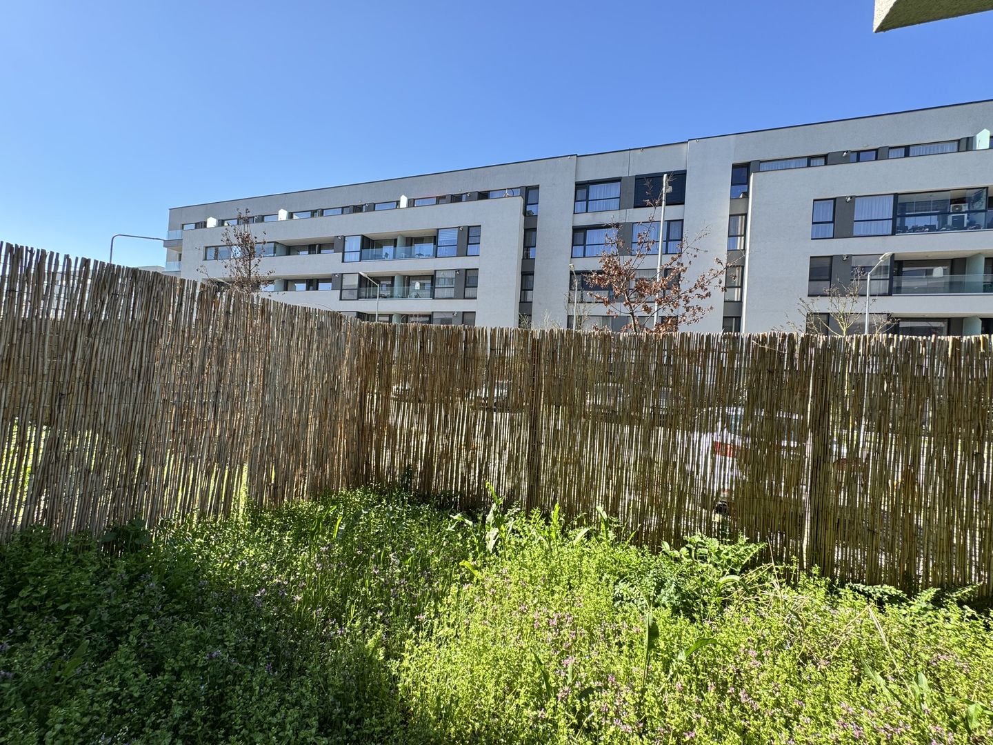 3 camere cu Gradina Proprie Sector 1 - Mall Colosseum - Poză 14