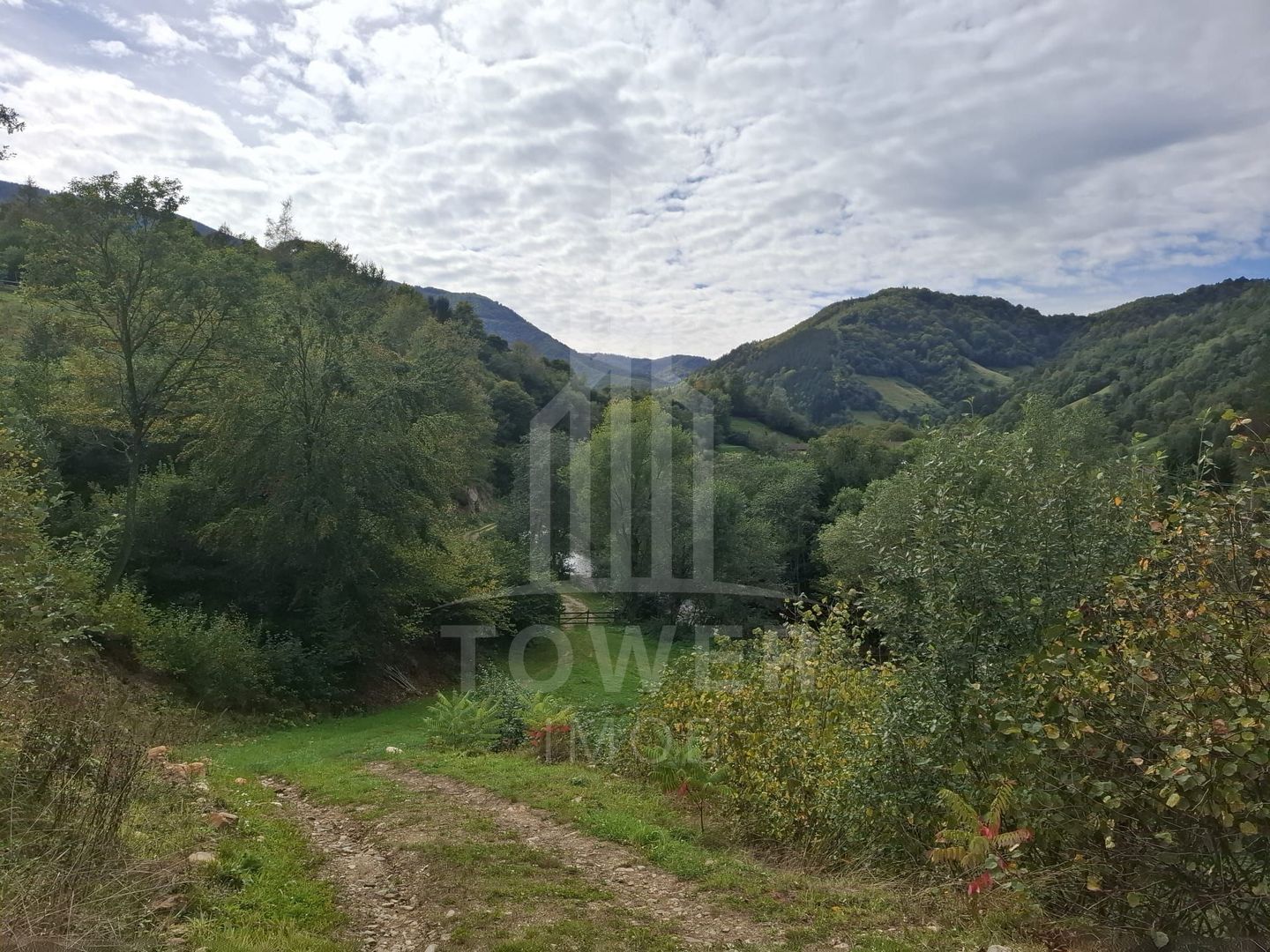 Teren Intravilan de Vânzare – 3622 mp – Râu Sadului - Poză 4