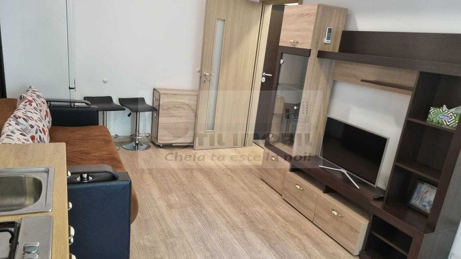 Apartament 2 camere Newton Nicolina - Poză 3