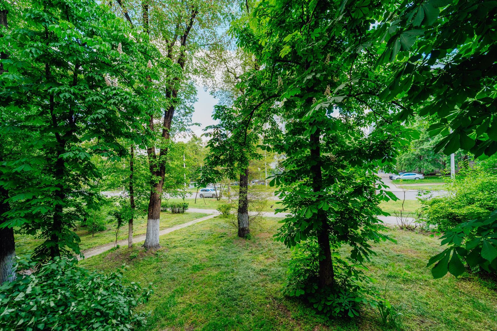 Apartament gata de trai, 2 camere, Docuceaev. - Poză 17