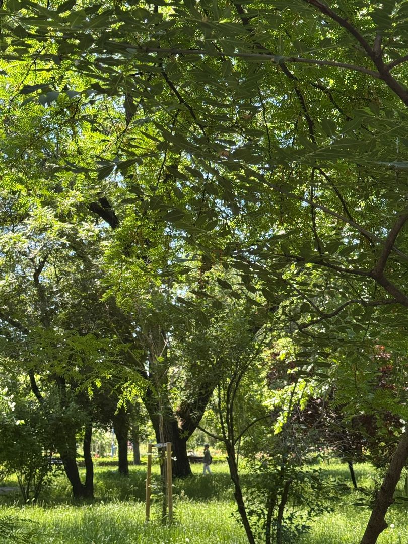 Investitie 2 Camere Intrare Parcul Circului - Poză 7
