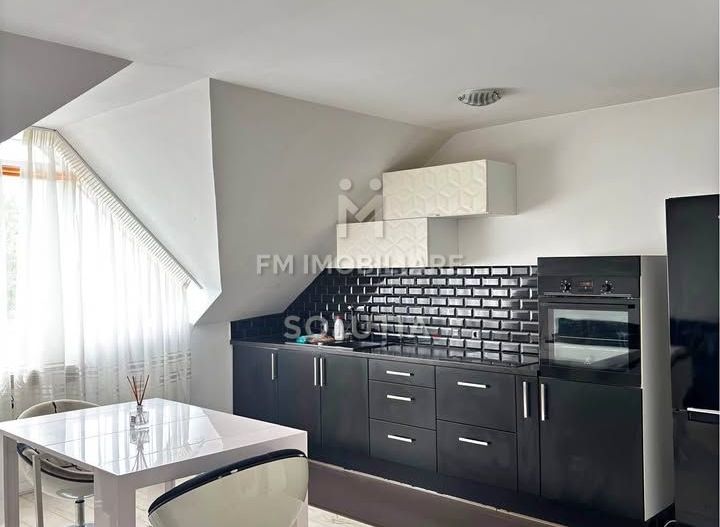 Apartament cu 2 camere, pe 2 niveluri, de închiriat – Str. V Babeș - Poză 1