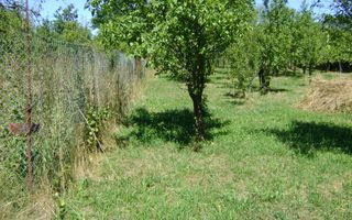 Teren  de vanzare Cornu 1919 mp - Poză 5