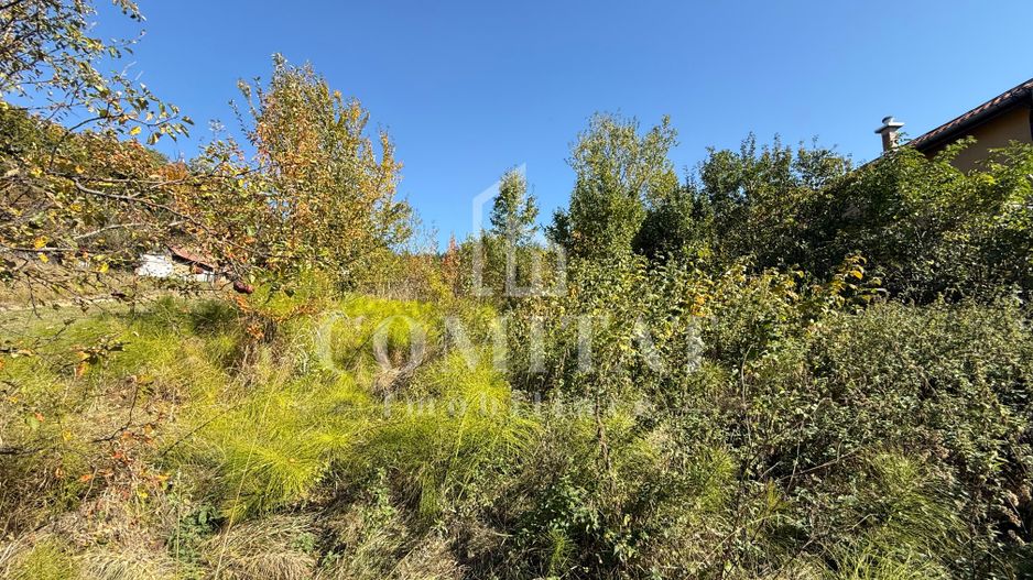 Teren intravilan Făget | 1.490 mp | Front 15 ml | Toate utilitățile - Poză 2