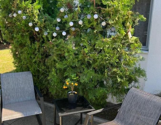 AFACERE PENSIUNE CU 8 CAMERE DE ÎNCHIRIAT - ZONA BĂNEASA - Poză 31
