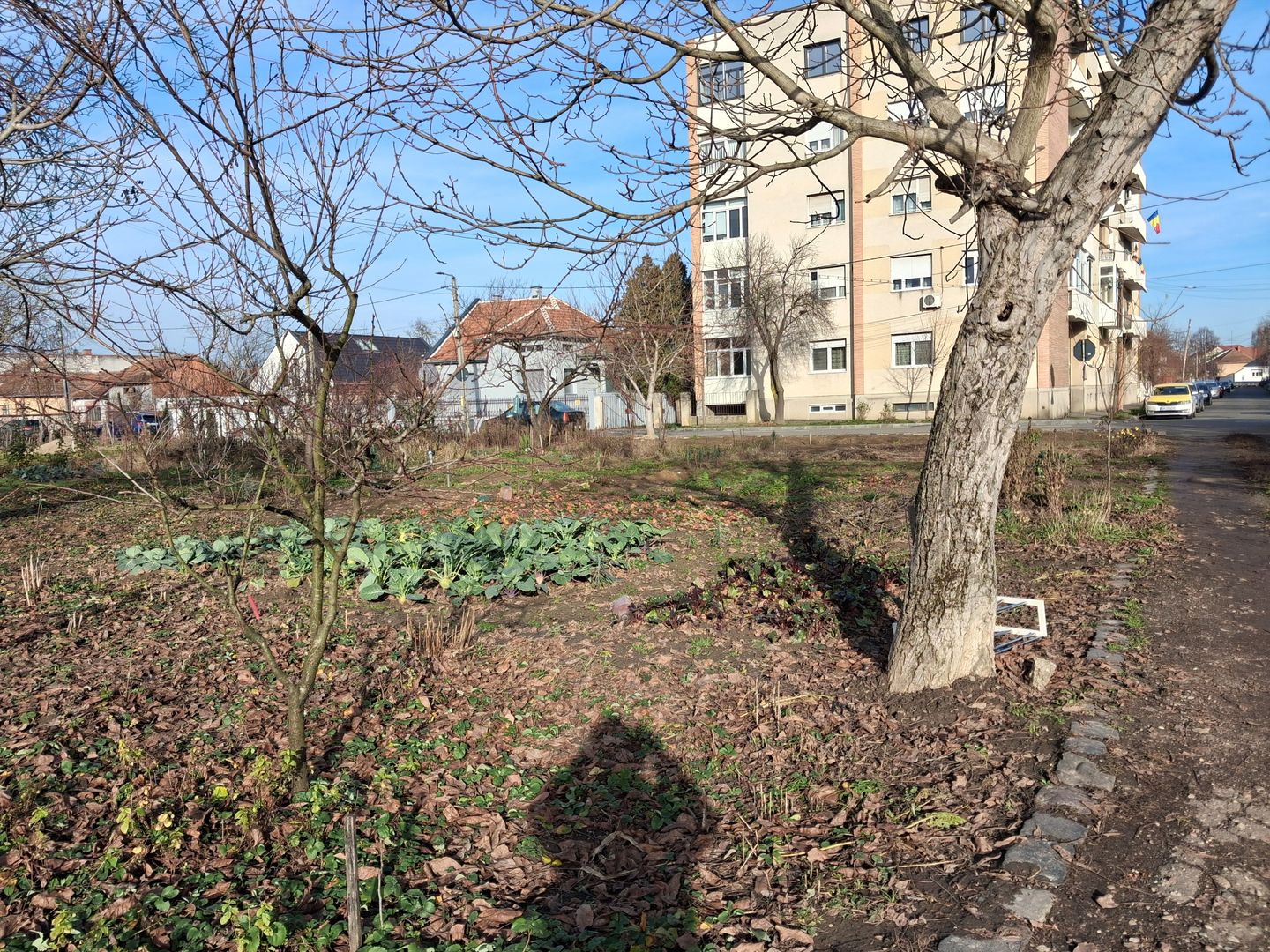 BRASADAS vinde 2000 mp. teren intravilan Diana Titulescu. - Poză 5