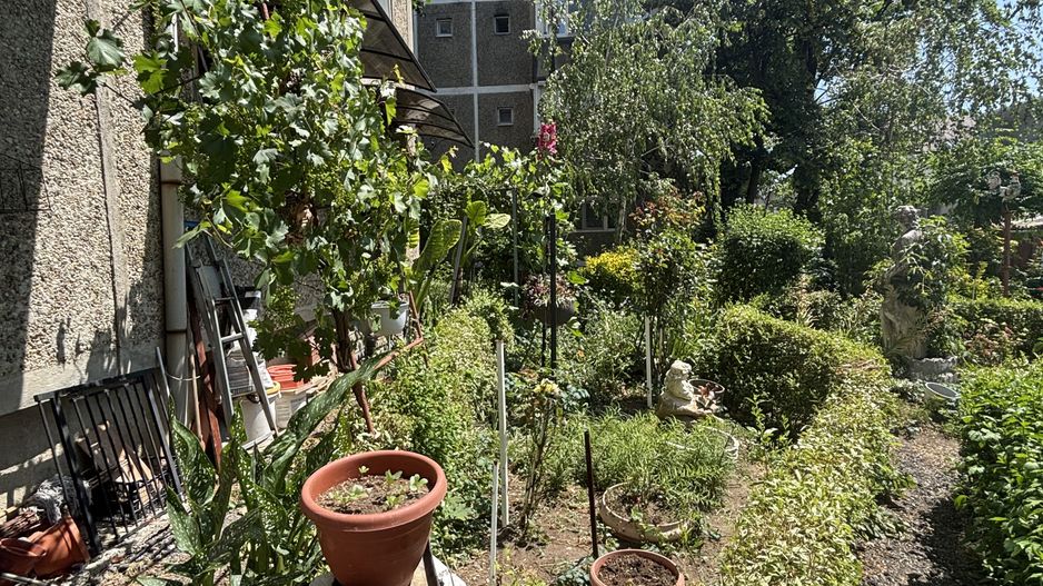 Apartament 3 camere zona Aradului - Poză 23