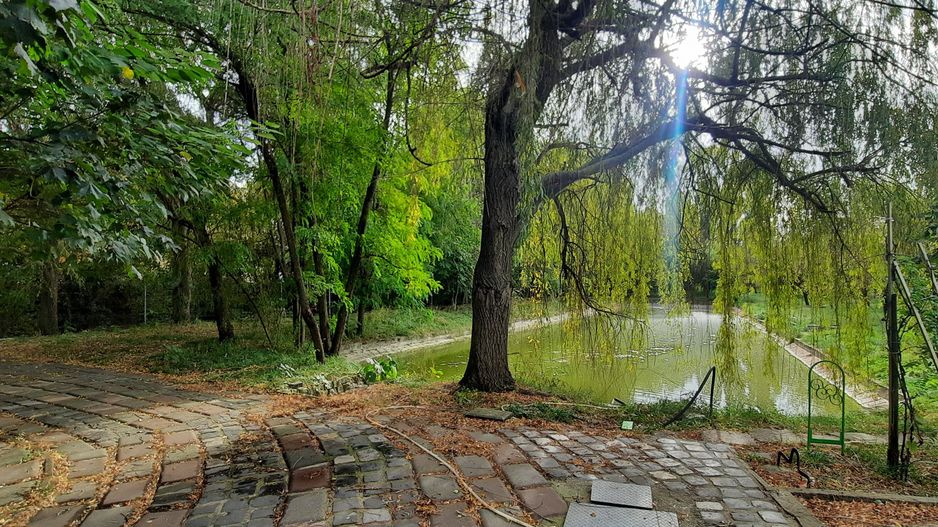 Teren 6779mp - Zona IKEA - Poză 5