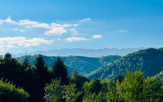 Teren de la 2772 mp Podul Simonului- Bran - Poză 13