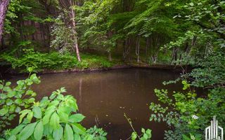 Vilă cu 4 camere | Valea Crișului | COMISION 0% - Poză 16