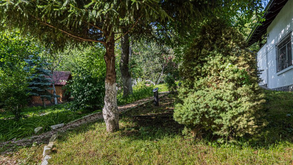 Vila de lux,  de inchiriat! Drumul Poienii! - Poză 51