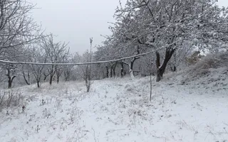 Teren de vanzare Adâncata - Poză 12