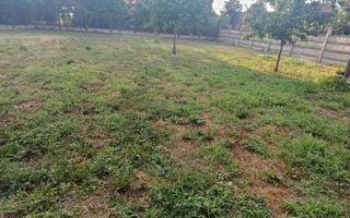 BRASADAS vinde casă 3 cam teren 9200 mp. in zona Closca. - Poză 6