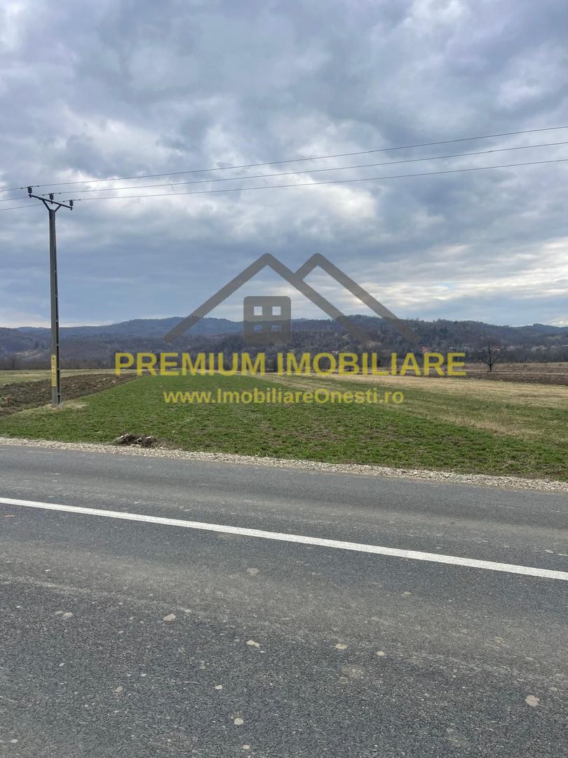 Vânzare teren 3145 mp – Mănăstirea Cașin, Onești - Poză 3