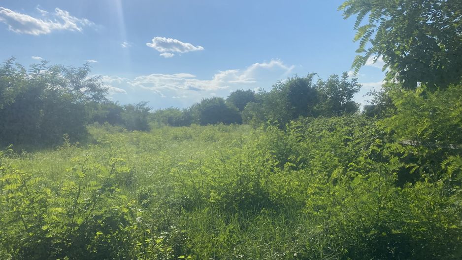 Vanzare teren intravilan cu dubla deschidere - Sacuieni - Poză 3