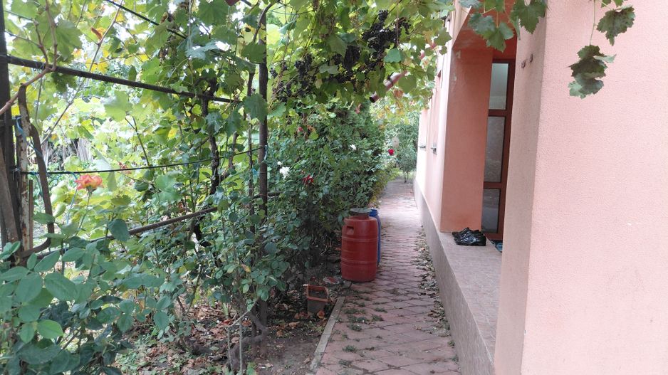 Casă Spațioasă P+1+M, 265 mp Utili, 1000 mp Teren – Toate Utilitățile, Vânători - Poză 40