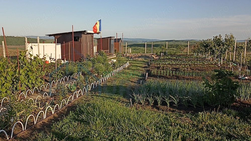 Teren Intravilan 470 mp   Horlești, Comuna Rediu (Proprietar) - Poză 1