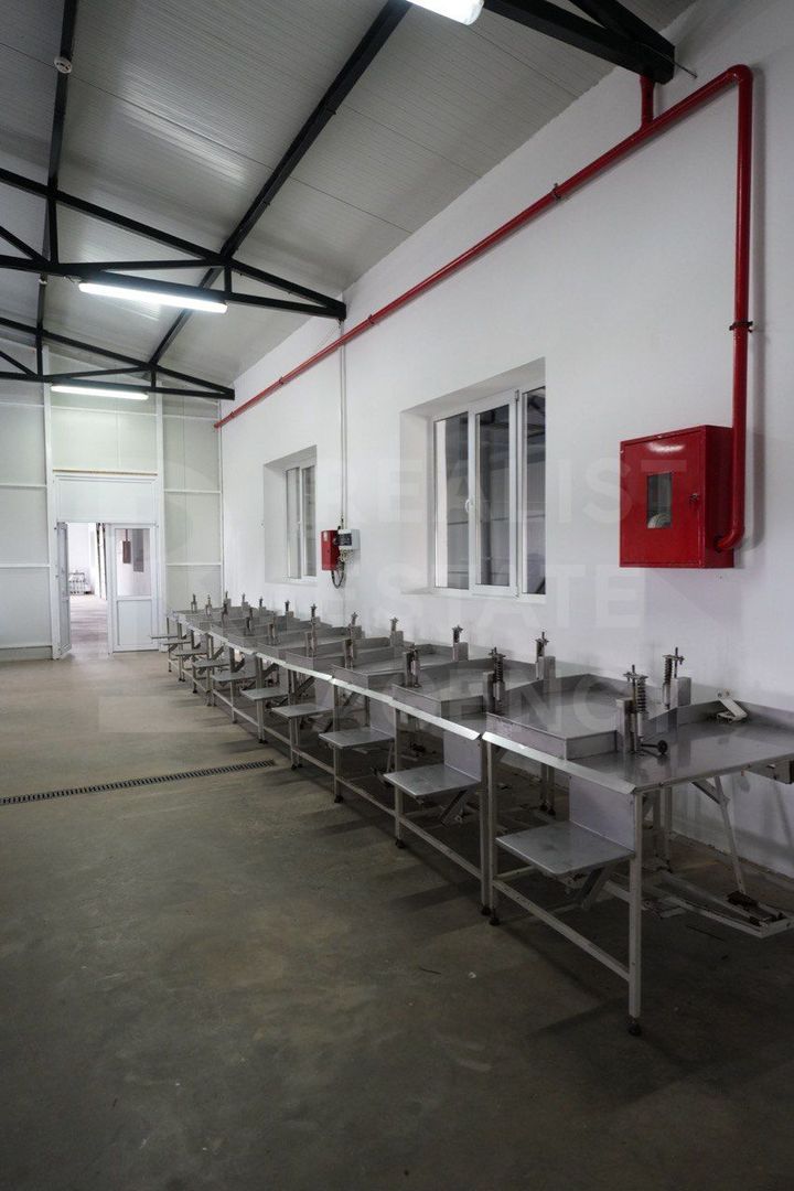 Vânzare spațiu industrial, 929 mp, sat. Cazaclia, UTA Gagauzia - Poză 13