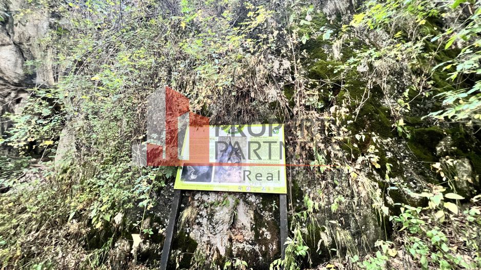 Teren de vânzare langa  Peștera Liliecilor  in Sat Pestera - Poză 8