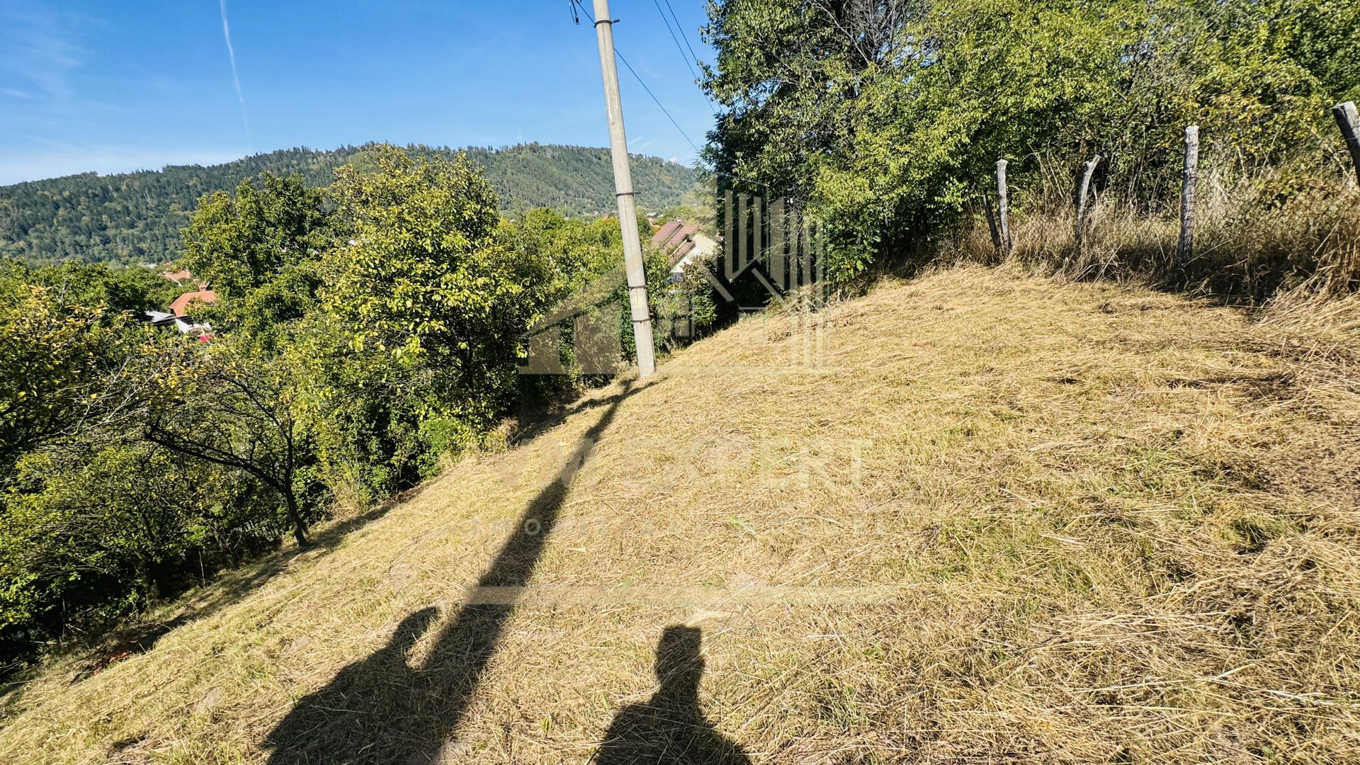 TEREN INTRAVILAN 3234 MP LEREȘTI VOINEȘTI ARGEȘ - Poză 26