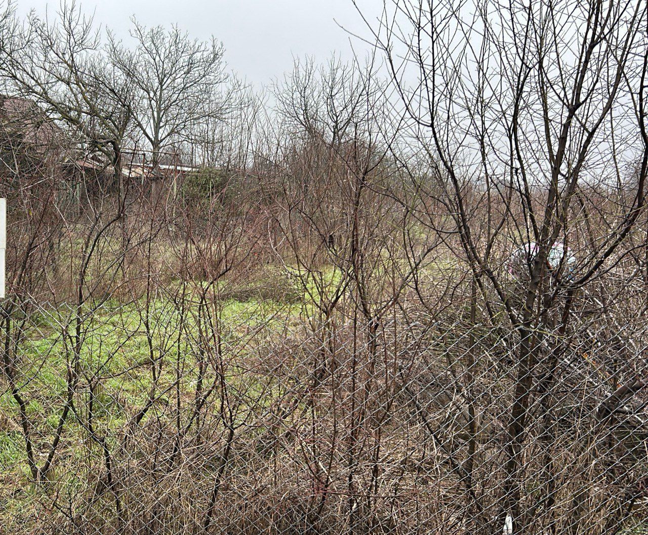 Teren intravilan de vânzare – 5.986 mp, Ciofliceni, Snagov (Ilfov) - Poză 3