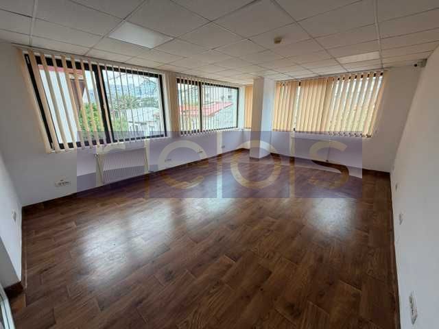 INCHIRIERE VILA SPATIU COMERCIAL BIROU TITULESCU 350MP 4 CAMERE 3 BAI - Poză 8