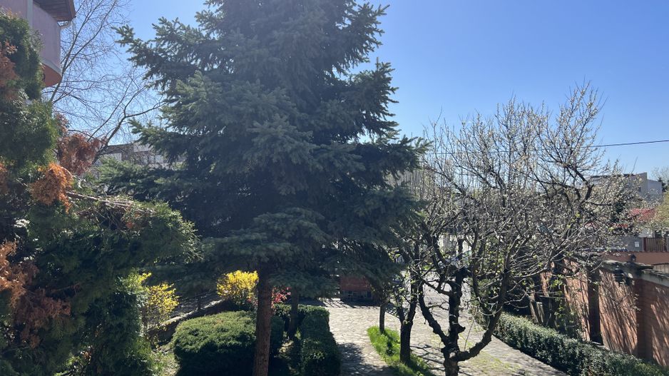 Vila superba Baneasa - Dobrogeanu Gherea - Poză 30