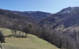 De vânzare teren intravilan 10,100 mp, cu anexă, Munteni - Poză 9